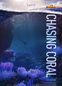 天命无双2角色攻略：选择适合你的战斗风格